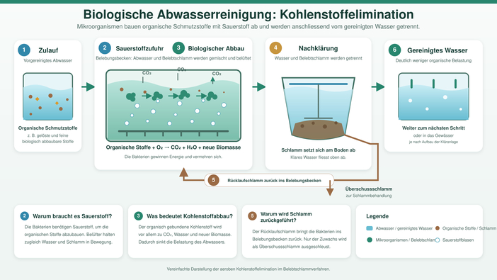 2 Biologische Reinigung – Kohlenstoffabbau