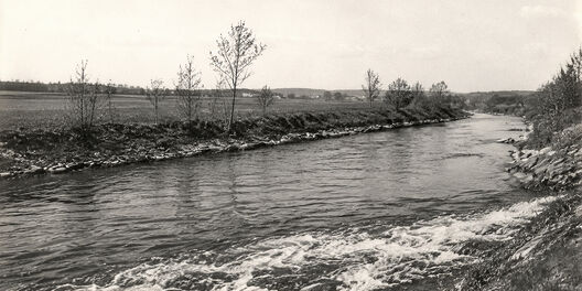 1965